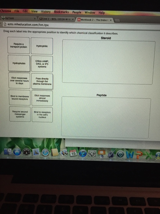 Solved Drag Each Label Into The Appropriate Position To I...