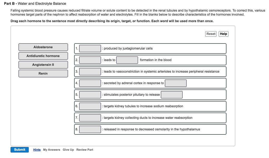 Solved Water And Electrolyte Balance Falling Systemic Blo...