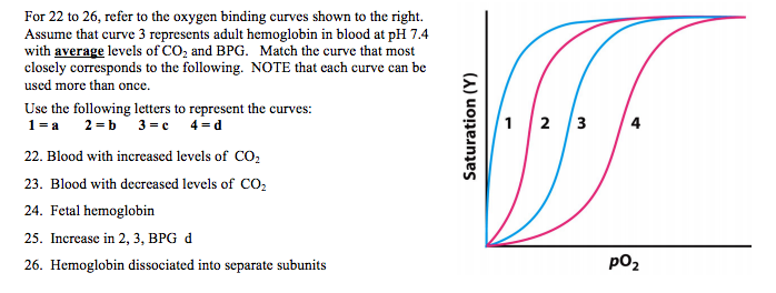 Solved For 22 To 26 Refer To The Oxygen Binding Curves Chegg