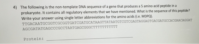 Solved The Following Is The Non Template DNA Sequence Of A Chegg