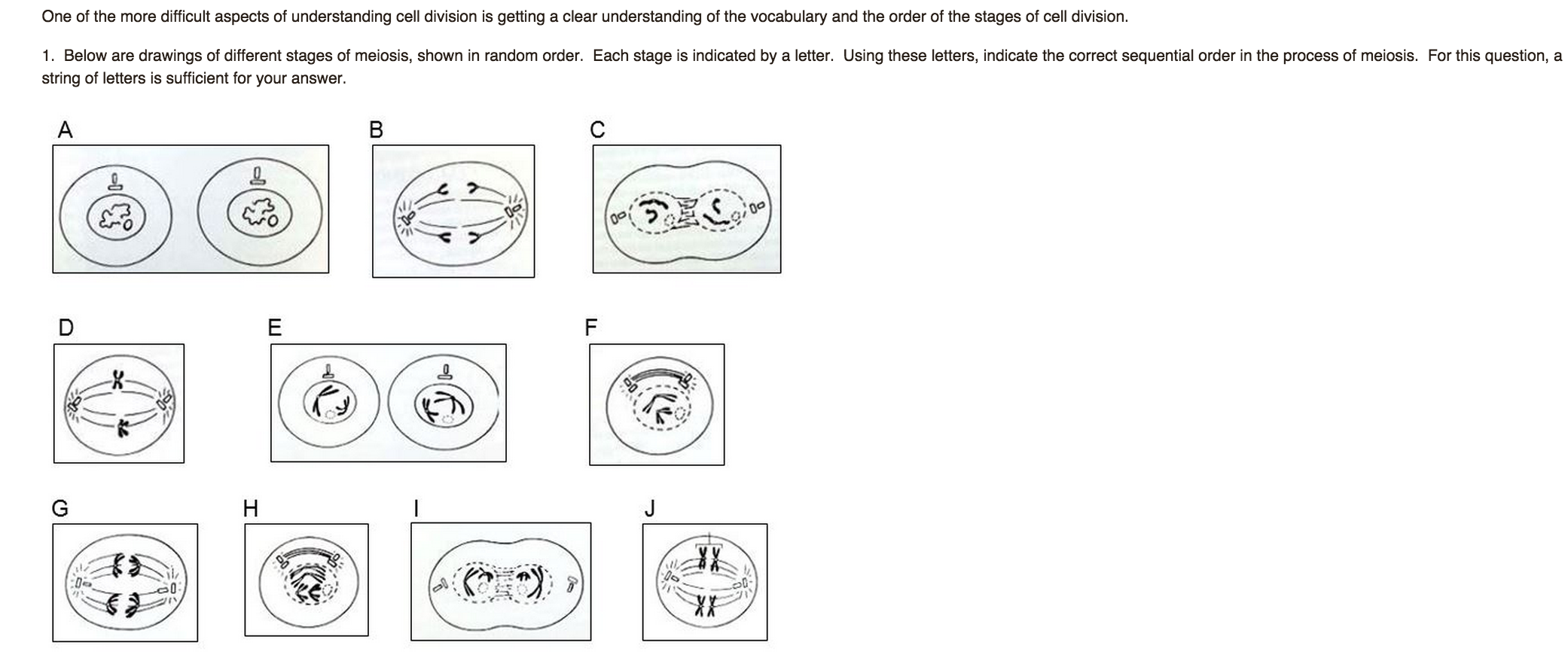 Question: 2. Many of the terms in cell division start with the letter