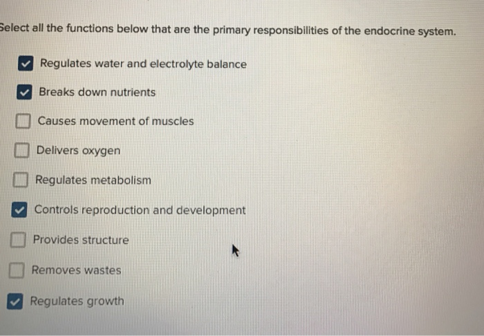 Solved Select All The Functions Below That Are The Primary Chegg