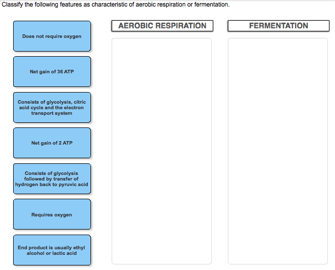 which of the following statements comparing photosynthesis and cellular