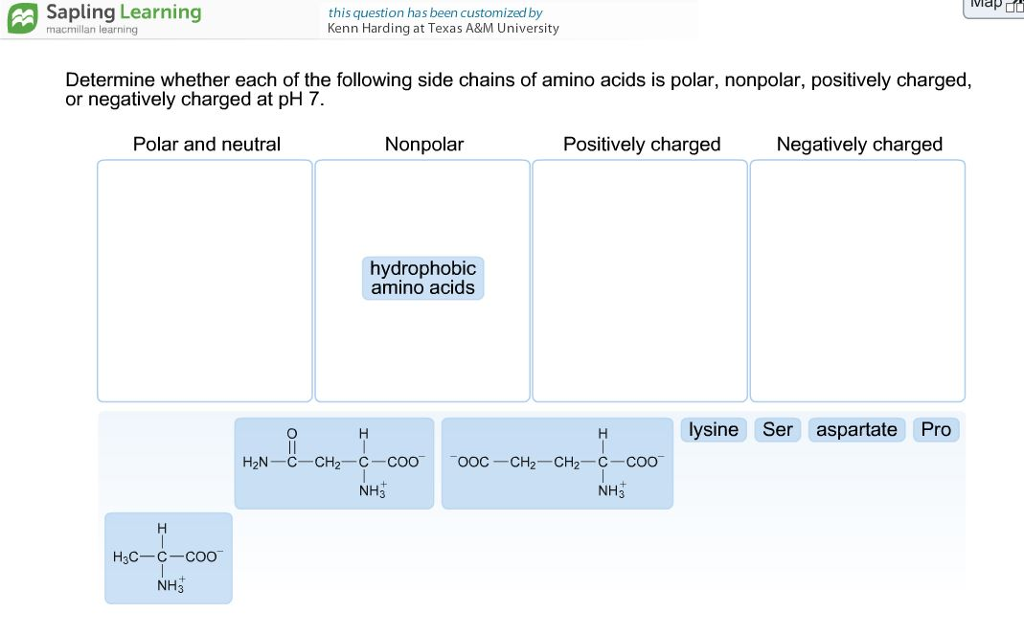 hydrophobic amino acids and neutral polar amino acids