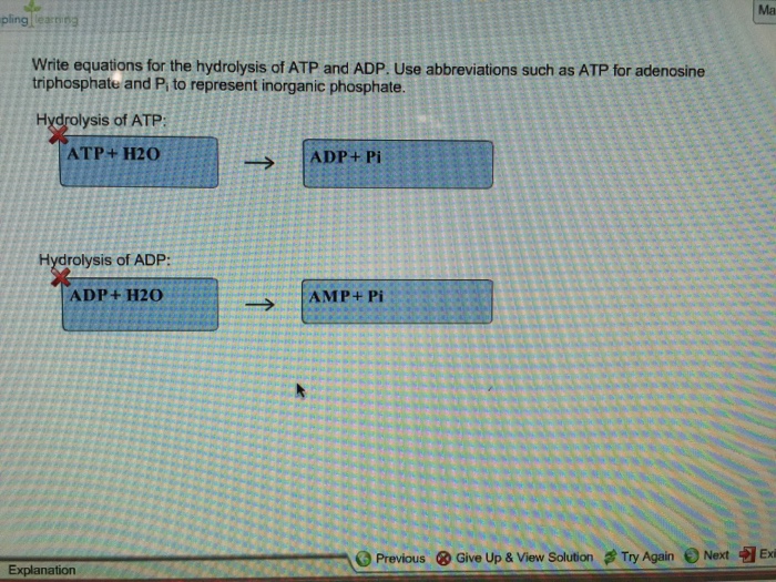 Solved Write Equations For The Hydrolysis Of ATP And ADP Chegg