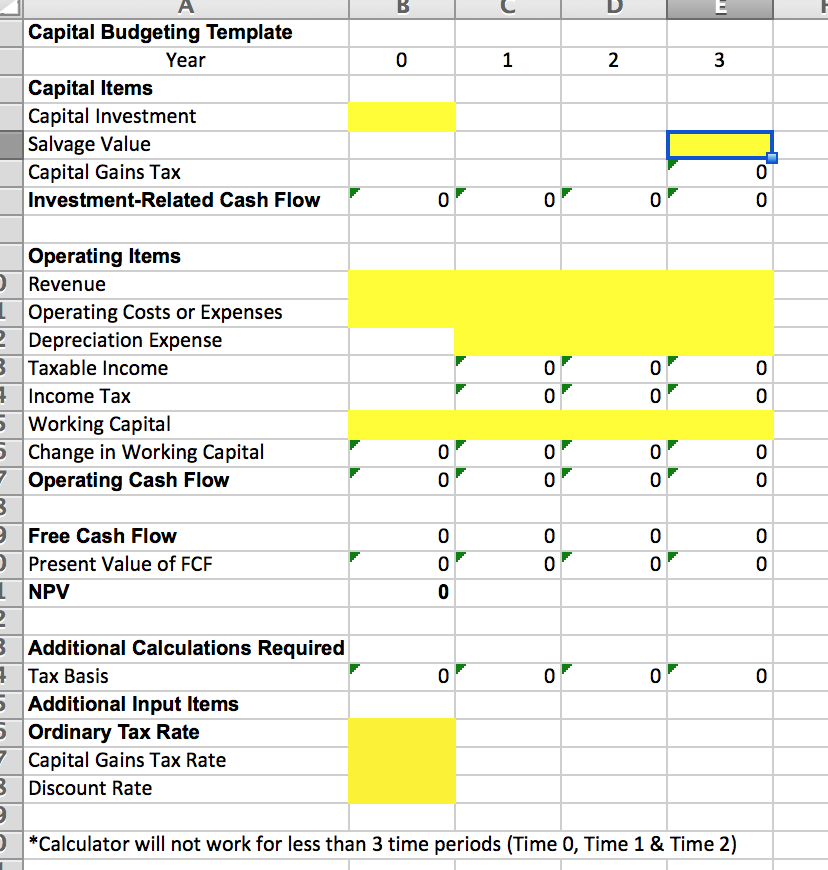 capital budget project