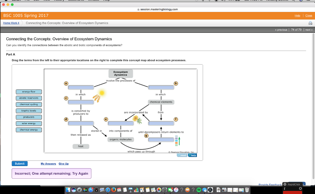 Solved Can You Identify The Connections Between The Abiot...