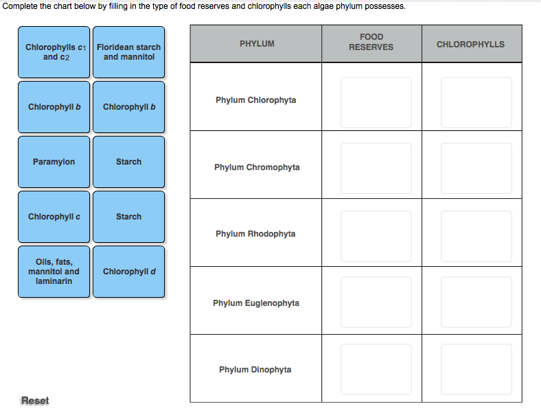 Solved Complete The Chart Below By Filling In The Type Of...