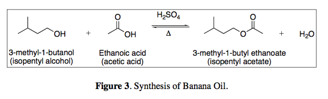 Fischer Esterification Mechanism Banana Oil