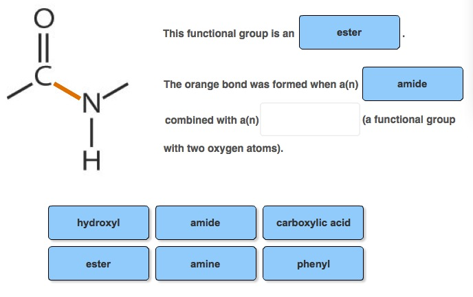 amide functional group