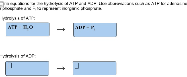 solved-write-equations-tor-the-hydrolysis-of-atp-and-adp-chegg