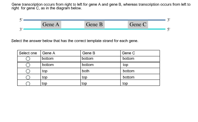 Gene Transcription Occurs From Right To Left For G... | Chegg.com