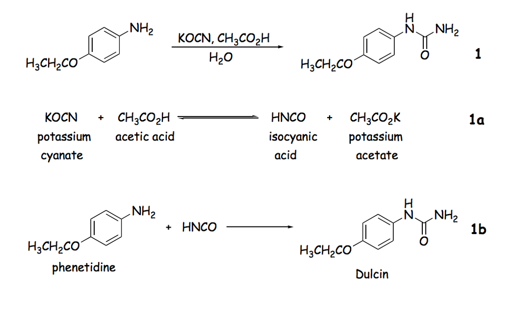 Synthesis of dulcin lab picture