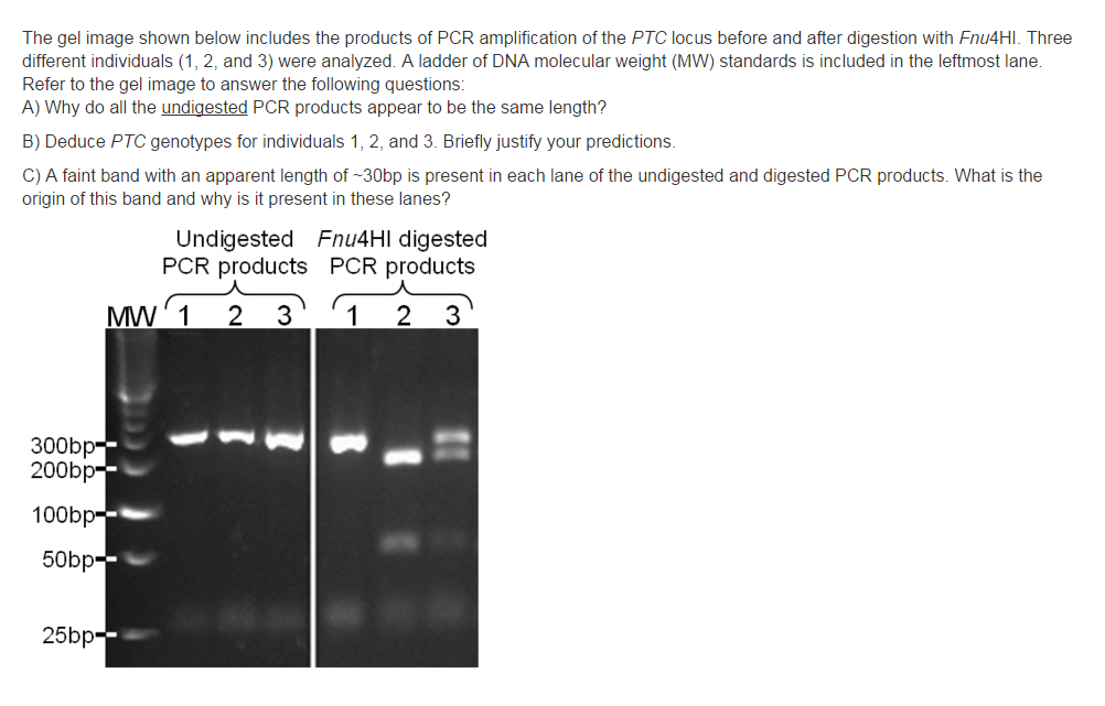 D-PCR-DY-23 Deutsch Prüfungsfragen