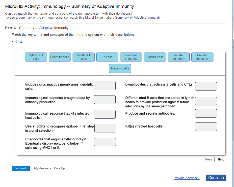 solved-match-the-key-terms-and-concepts-of-the-immune-sys-chegg