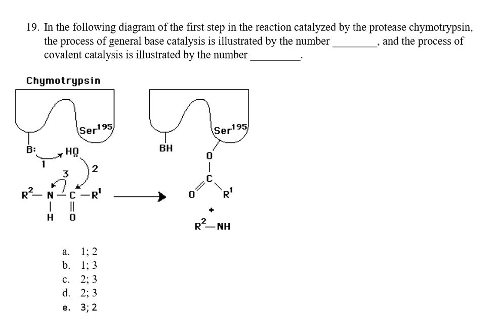 Solved 19 In The Following Diagram Of The First Step In The Chegg