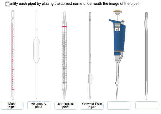 Solved: Identify Each Pipet By Placing The Correct Name Un... | Chegg.com