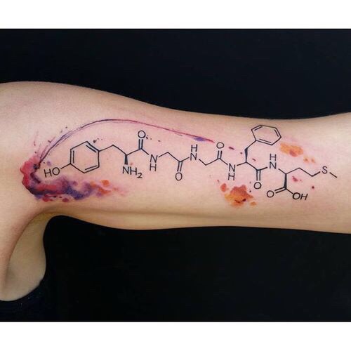 Solved HO NH NH2 H_.0 S HN O NH HN O