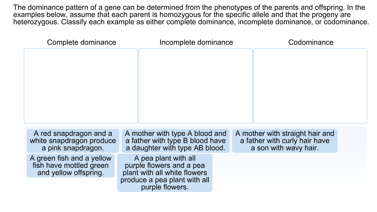 what are examples of phenotypes determined by incomplete dominance