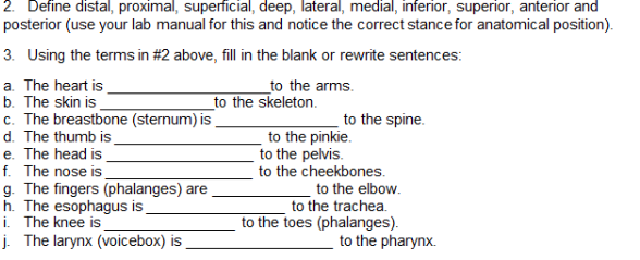 how-to-use-lateral-in-a-sentence-exploring-the-word