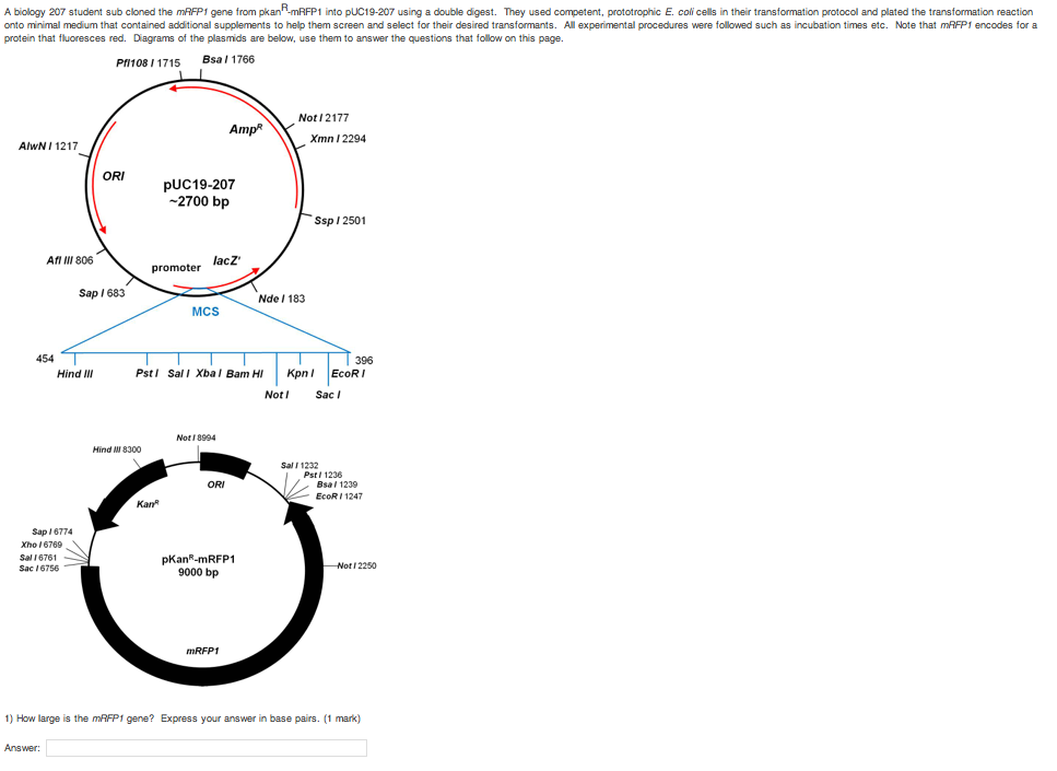 Biology gene pairs homework help