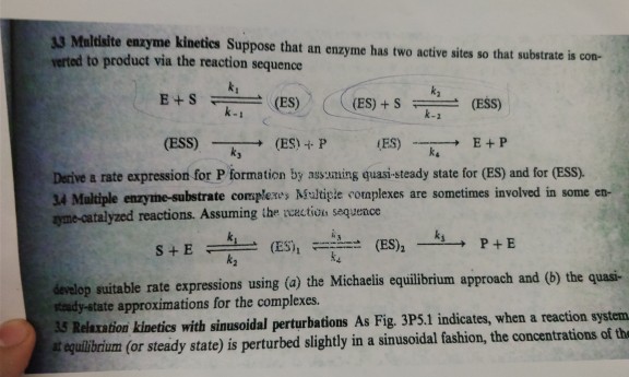 Solved Maltisite Enzyme Kineties Suppose That An Enzyme Chegg