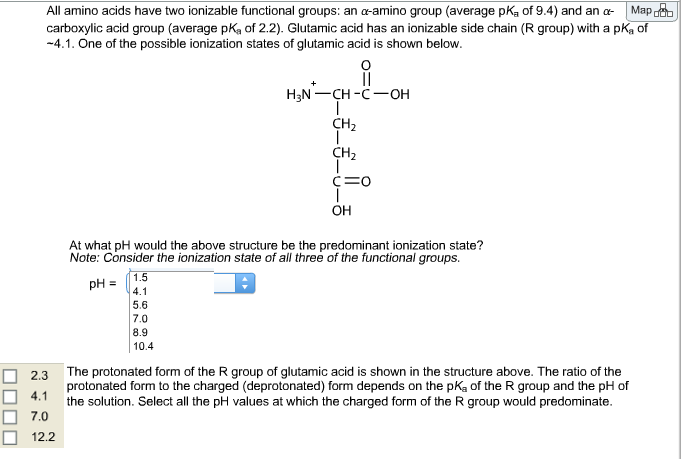 Amino Acid Functional Group 8