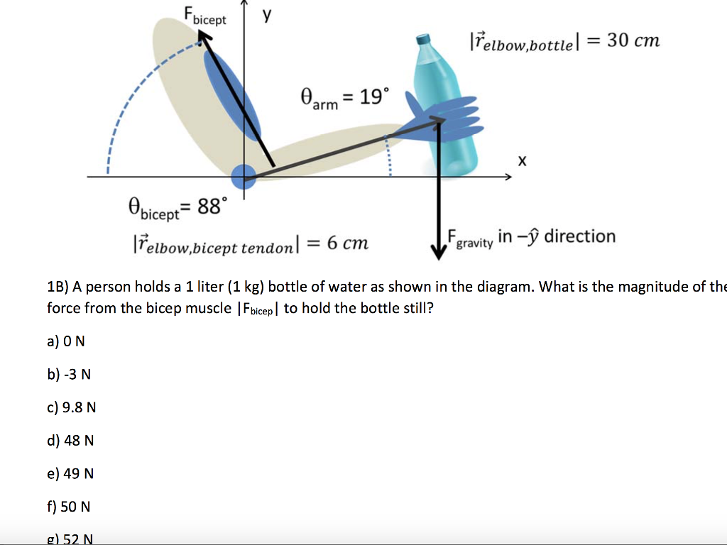 Solved Bicept Telbow Bottle L 30 Cm Arm 19 Bi Chegg Com