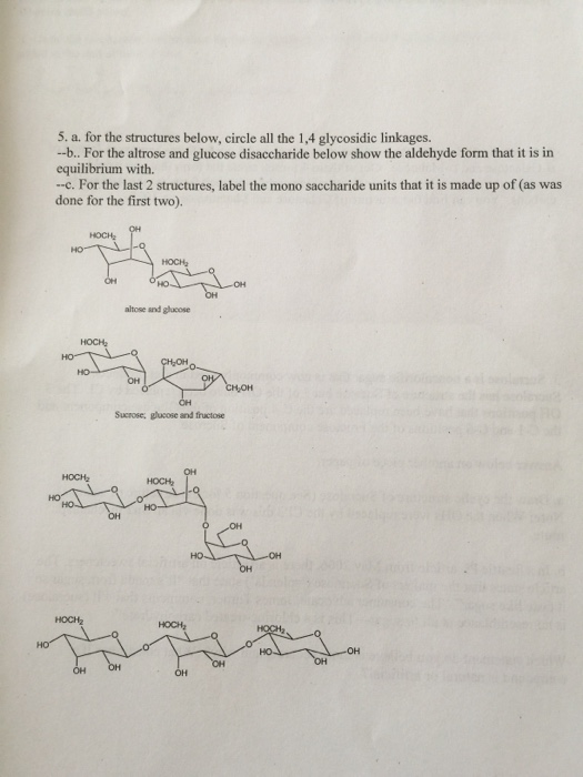 Sucralose essay 08 picture