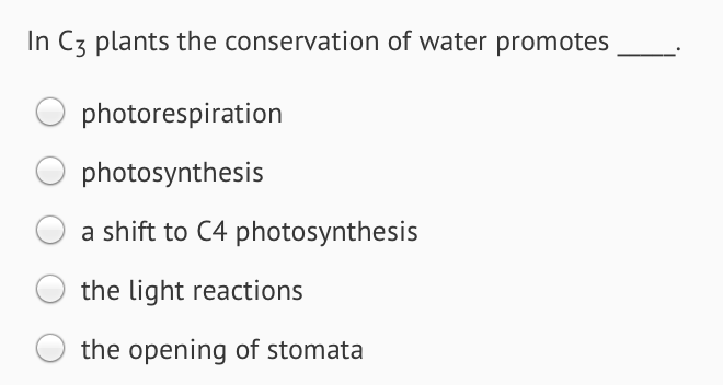 Image for In C3 plants the conservation of water promotes photorespiration photosynthesis a shift to C4 photosynthesis t