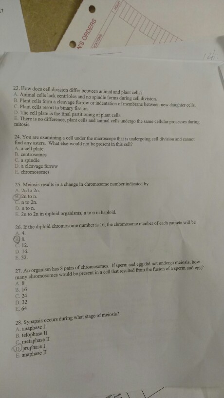 Solved: 23. How Does Cell Division Differ Between Animal A ...