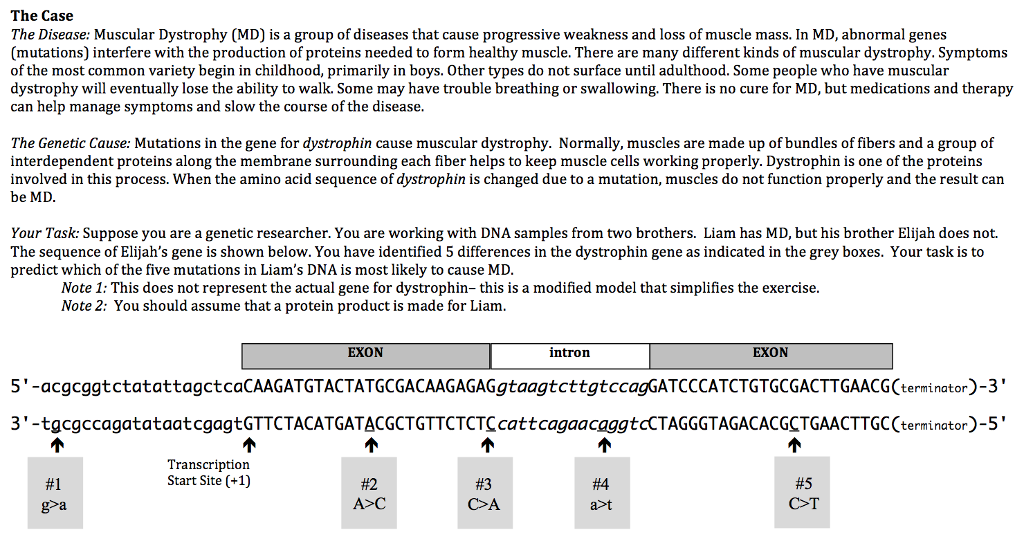 Muscular dystrophy accommodations in the classroom image