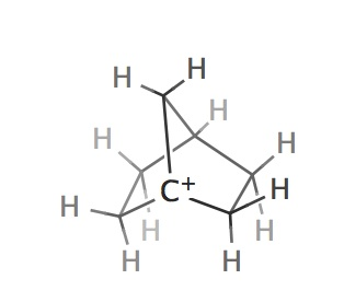 Positively Charged Atom