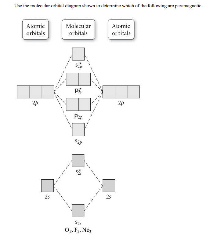 Solved 1 O22 2 Ne22 3 O22 4 F22 5 None Of These Chegg Com