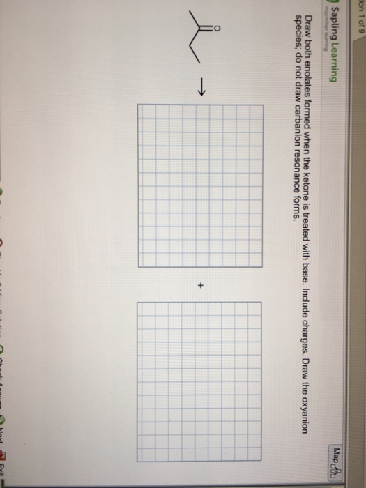 Draw Both Enolates Formed When The Ketone Is Treated Chegg 