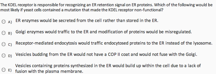 effect of an acidic fluid on enzymatic activity Effects of rumen fluid pre-incubation on in vitro proteolytic activity of enzymatic extracts from rumen microorganisms. effect of an acidic fluid on enzymatic activity Effects of rumen fluid pre-incubation on in vitro proteolytic activity of enzymatic extracts from rumen microorganisms.