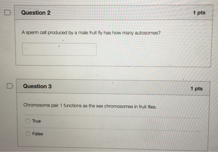 Where is the sperm cell found picture