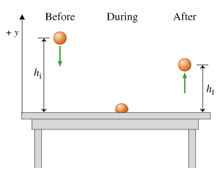 Physics homework help egg drop