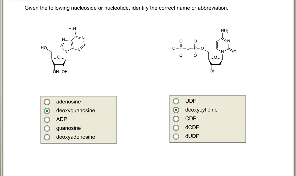 Given the following nucleoside or nucleotide, iden