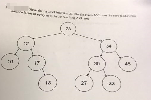 my balance factor coupon code