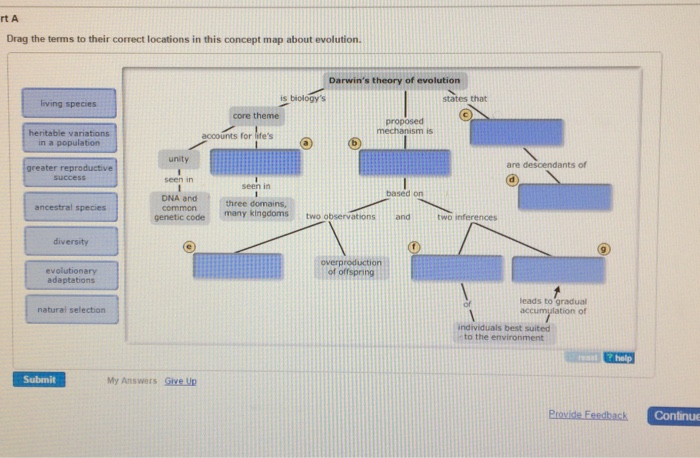 Drag The Terms To Their Correct Locations In This Concept Map About Evolution. Solved: Drag The Terms To Their Correct Locations In This 