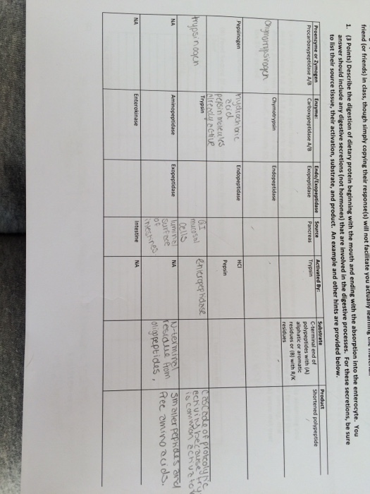 What does metabolism do? image