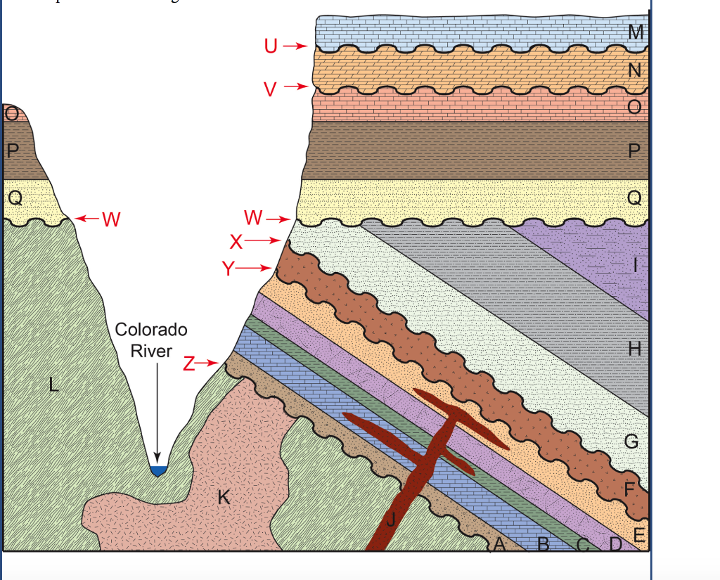 Solved: EXERCISE 1: DETERMINING RELATIVE AGES In This Exer ...