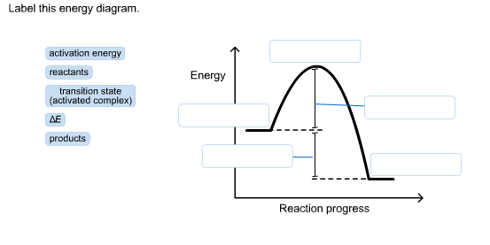 Label This Energy Diagram Activation Energy Chegg Com