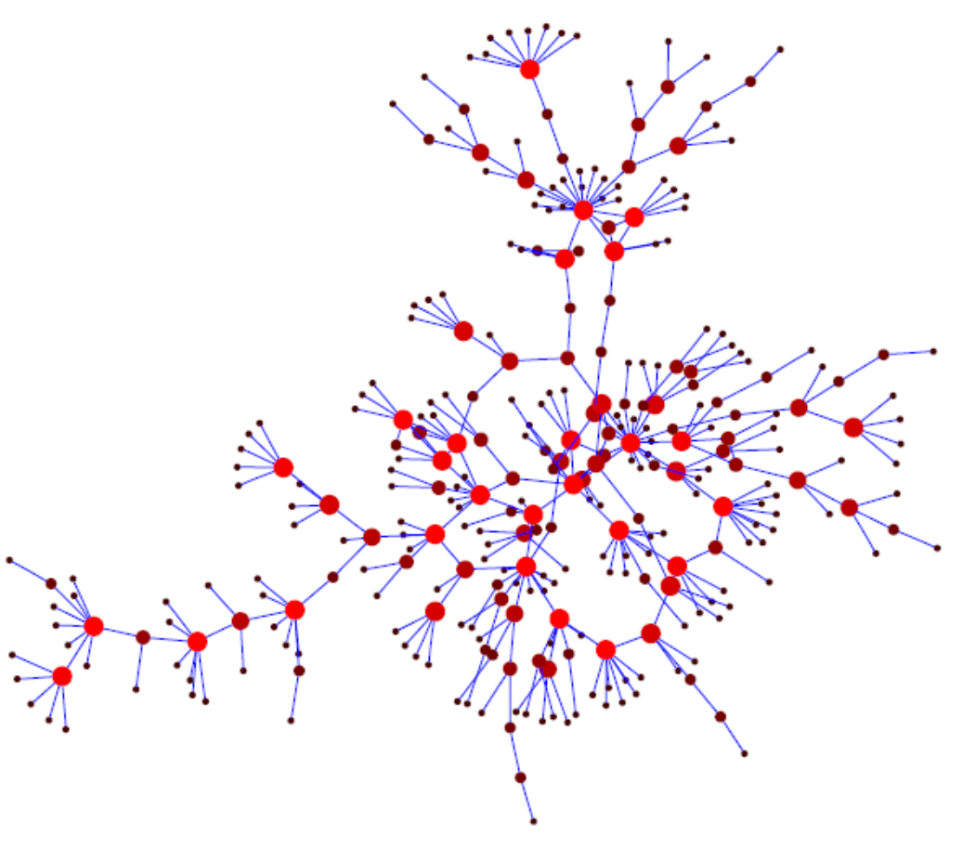 Комплекс сеть. Эмергенез это. Epidemics Networks.