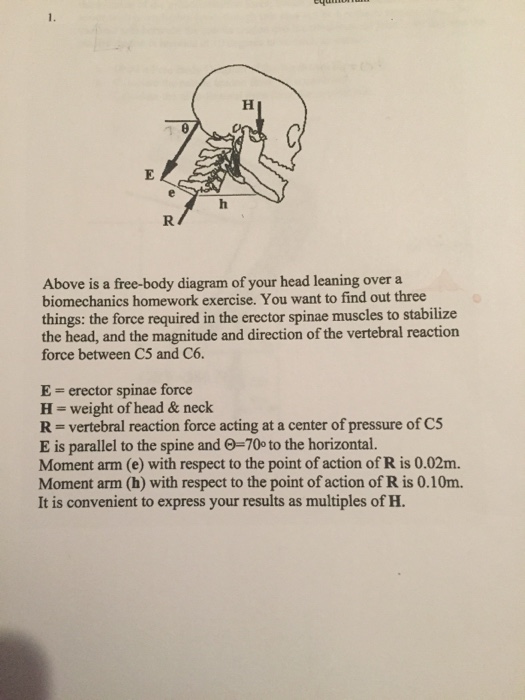 Free body diagram homework picture