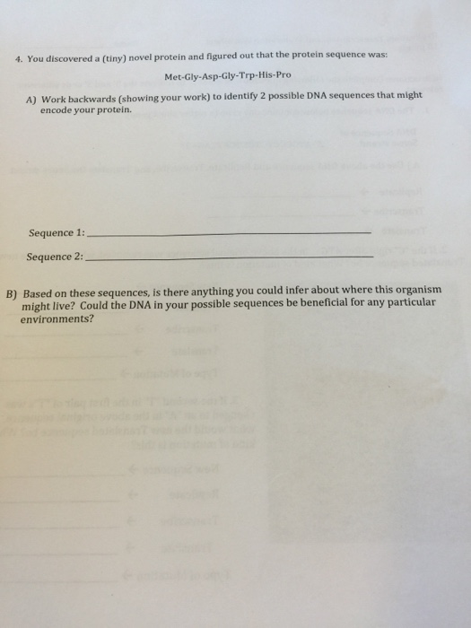 Transcription and translation quiz picture