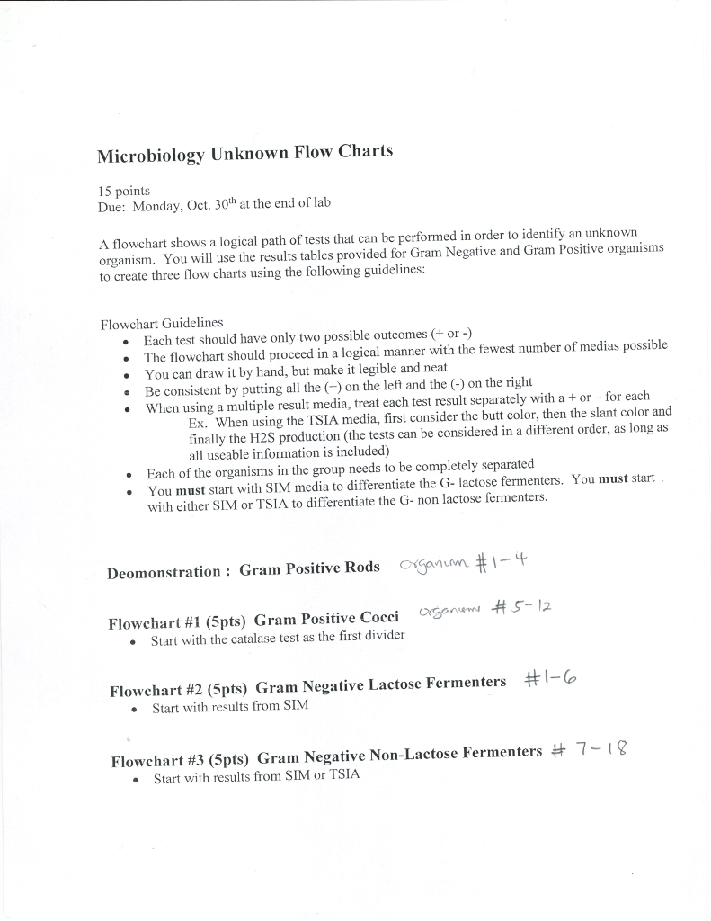 professor report student chegg reddit