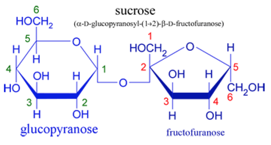 Sucrose HOCH Co-D-glucopyranosyl-1-2) B-D-fructofuranose) HOCH OH OH H CH O...