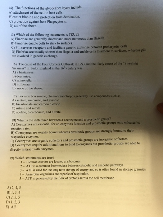 Solved The Functions Of The Glycocalyx Layers Include | Chegg.com